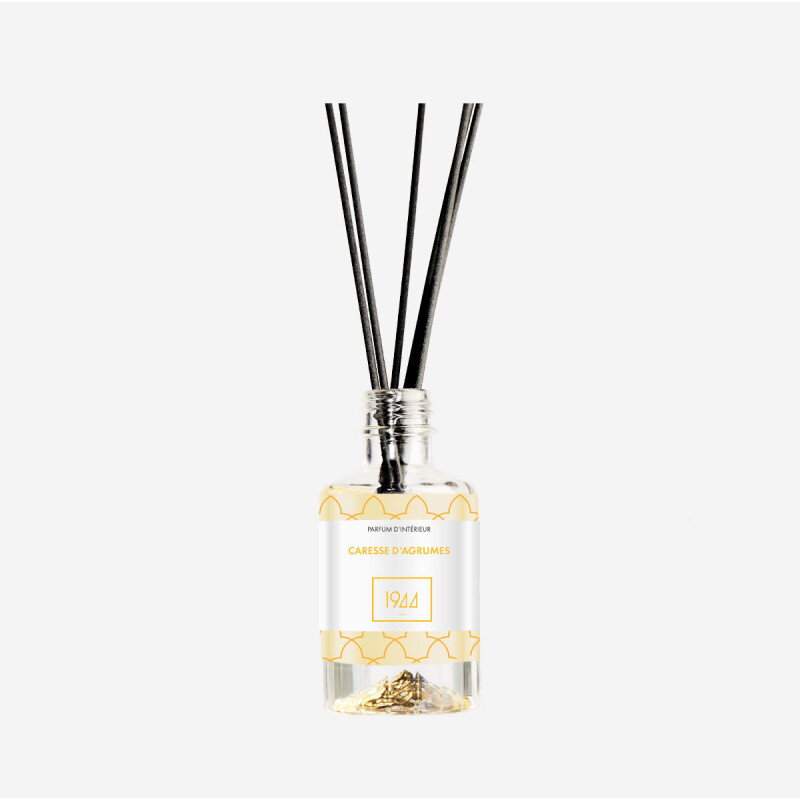 PARFÉMOVÝ DIFUZÉR  100 ml